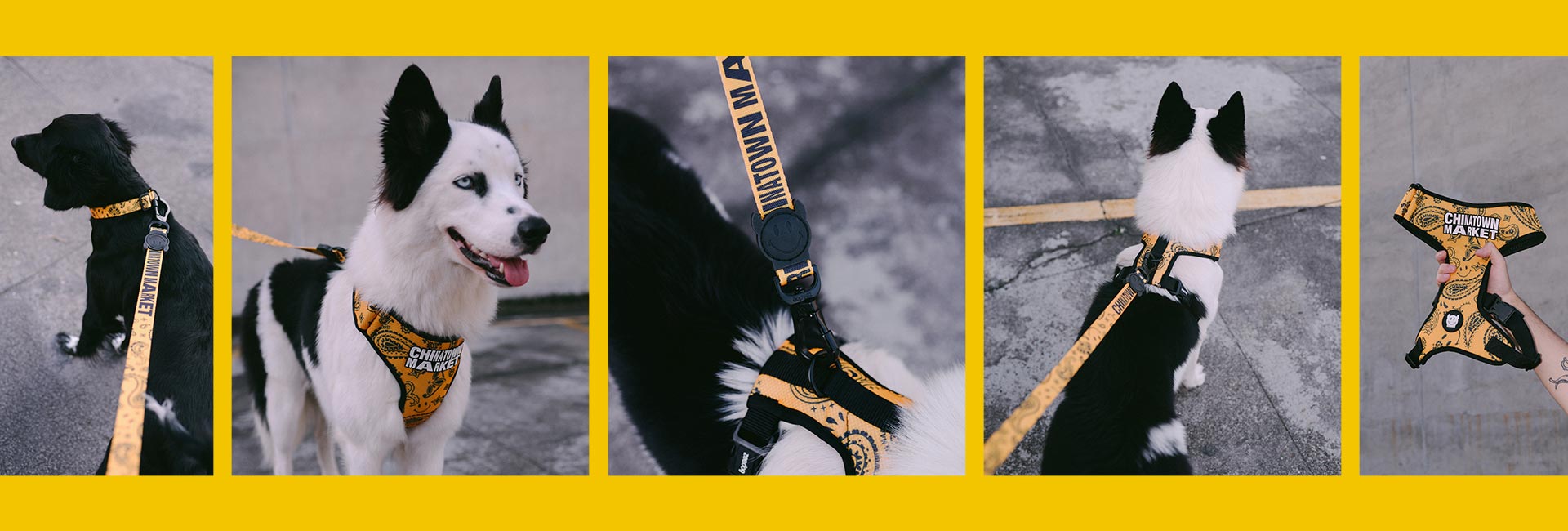 Zee.Dog x Chinatown Market Yellow | Leash