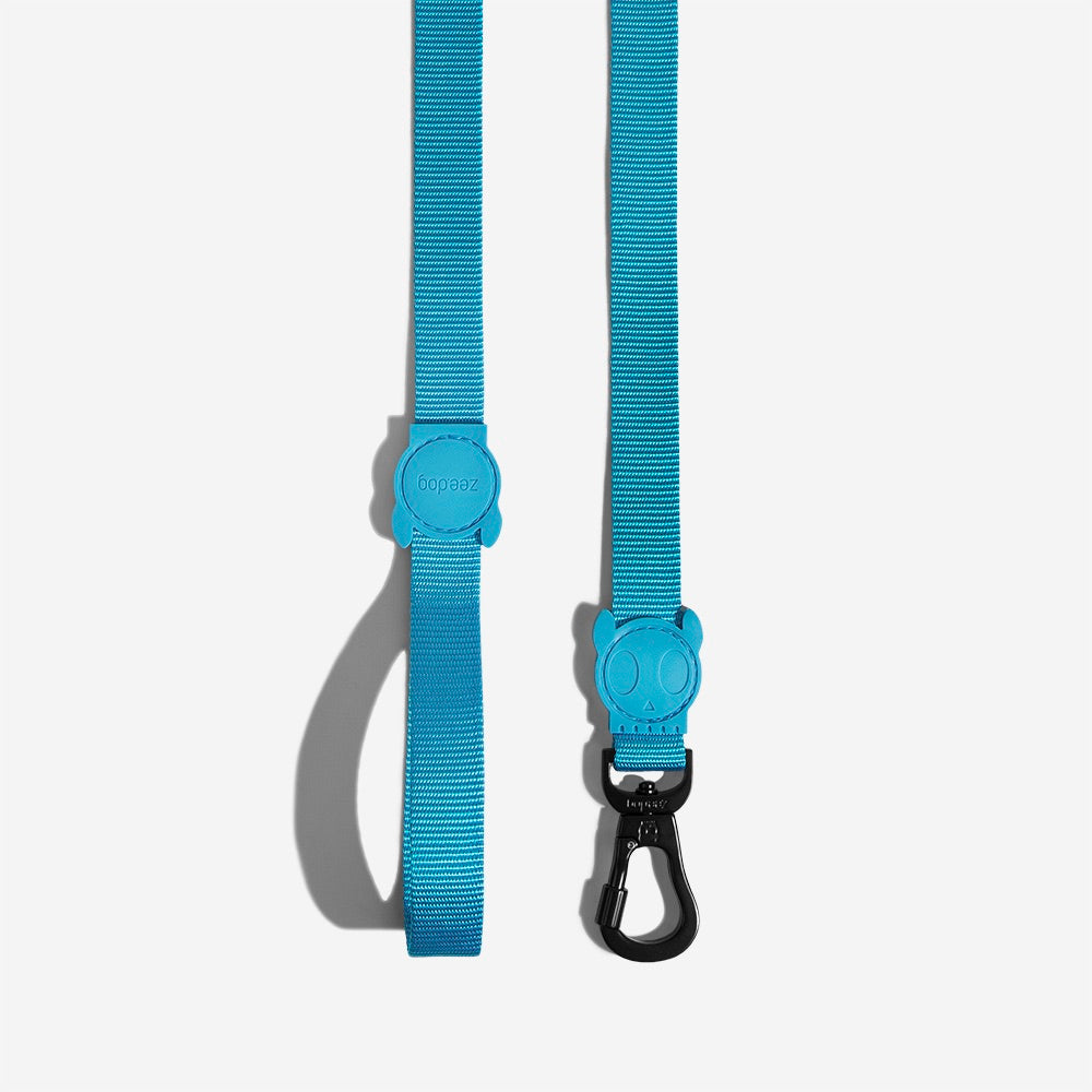Ultimate Blue Leash – - Main Image