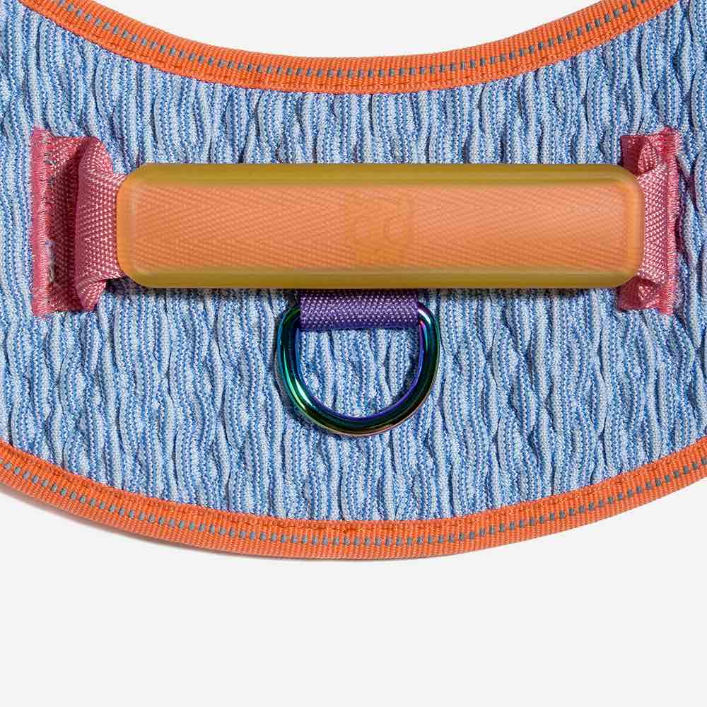 Zee.Dog Galaxy FlyHarness