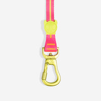 Drago | Long Leash 2.0