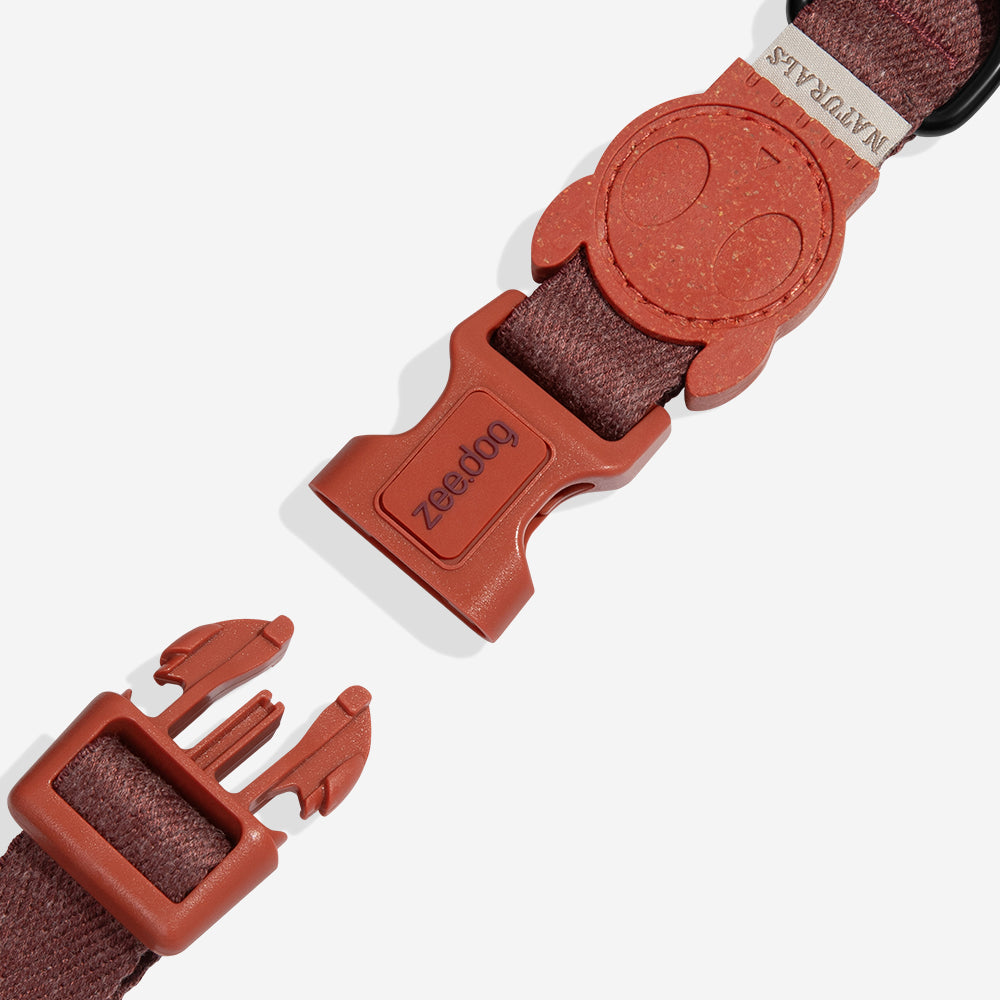 Cocoa | Collar
