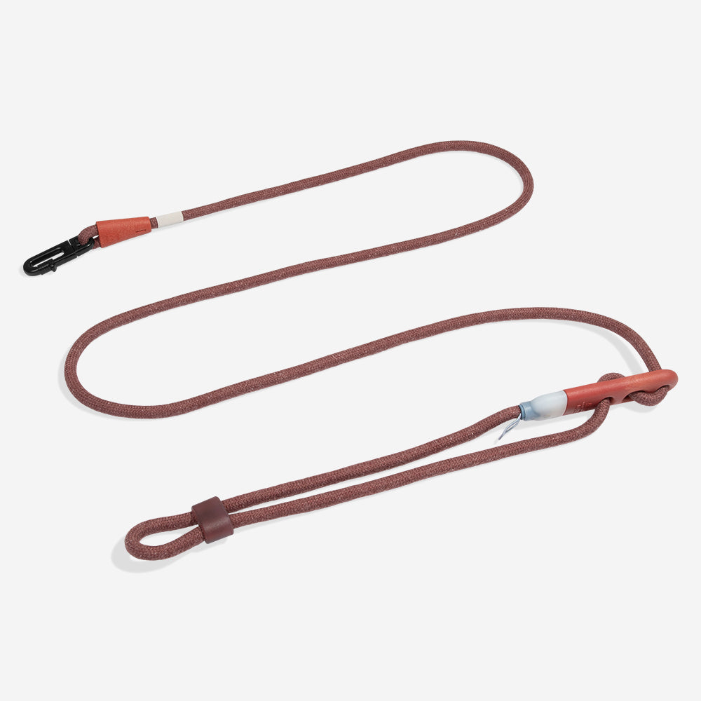 Cocoa | Hands-Free Leash