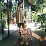 Cocoa | Hands-Free Leash