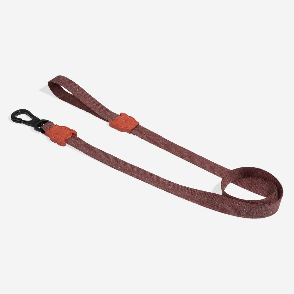 Cocoa | Leash
