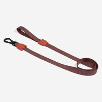 Cocoa | Leash