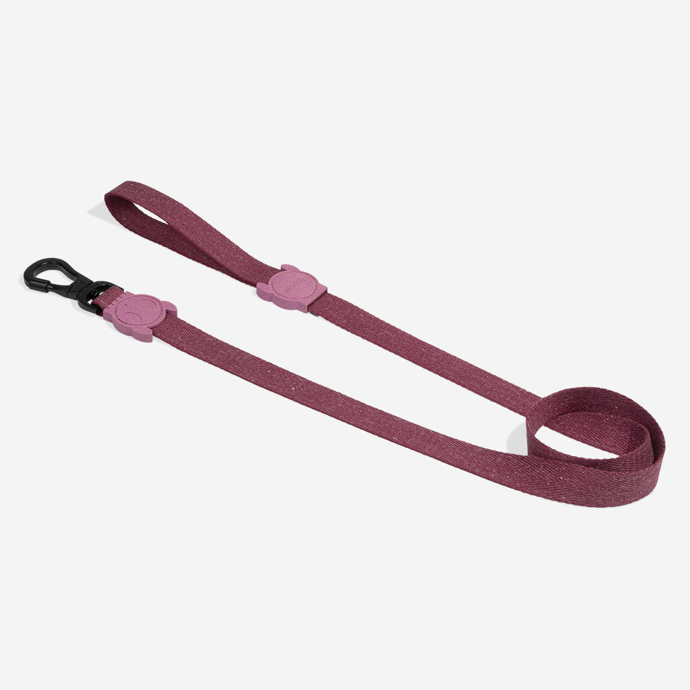 Hibiscus | Leash