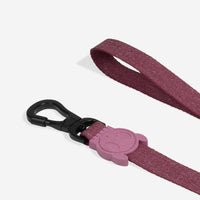 Hibiscus | Leash