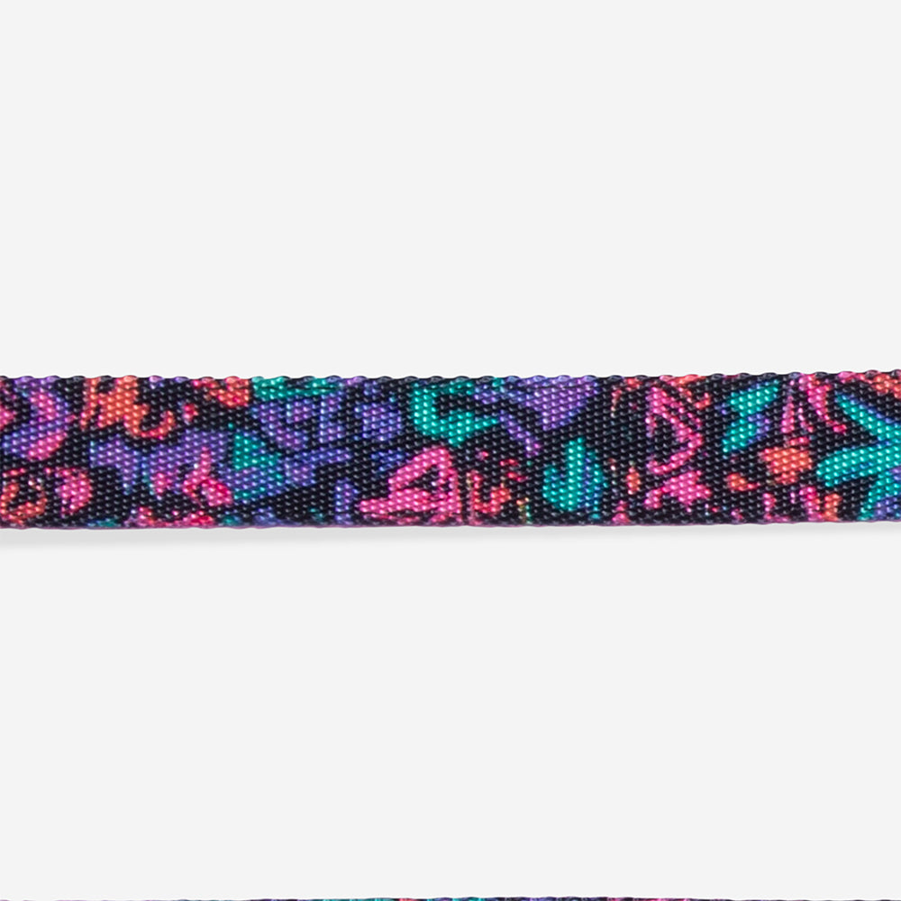 Reebok Aerobic | Cat Collar