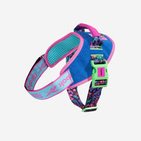 Reebok Aerobic | Flyharness