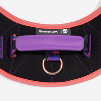 Reebok Court | Flyharness