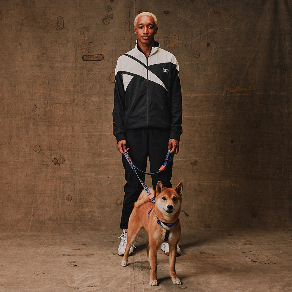 Reebok Court | H-Harness