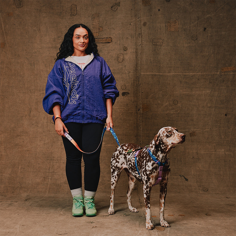 Reebok Trekk | H-Harness – Zee.Dog
