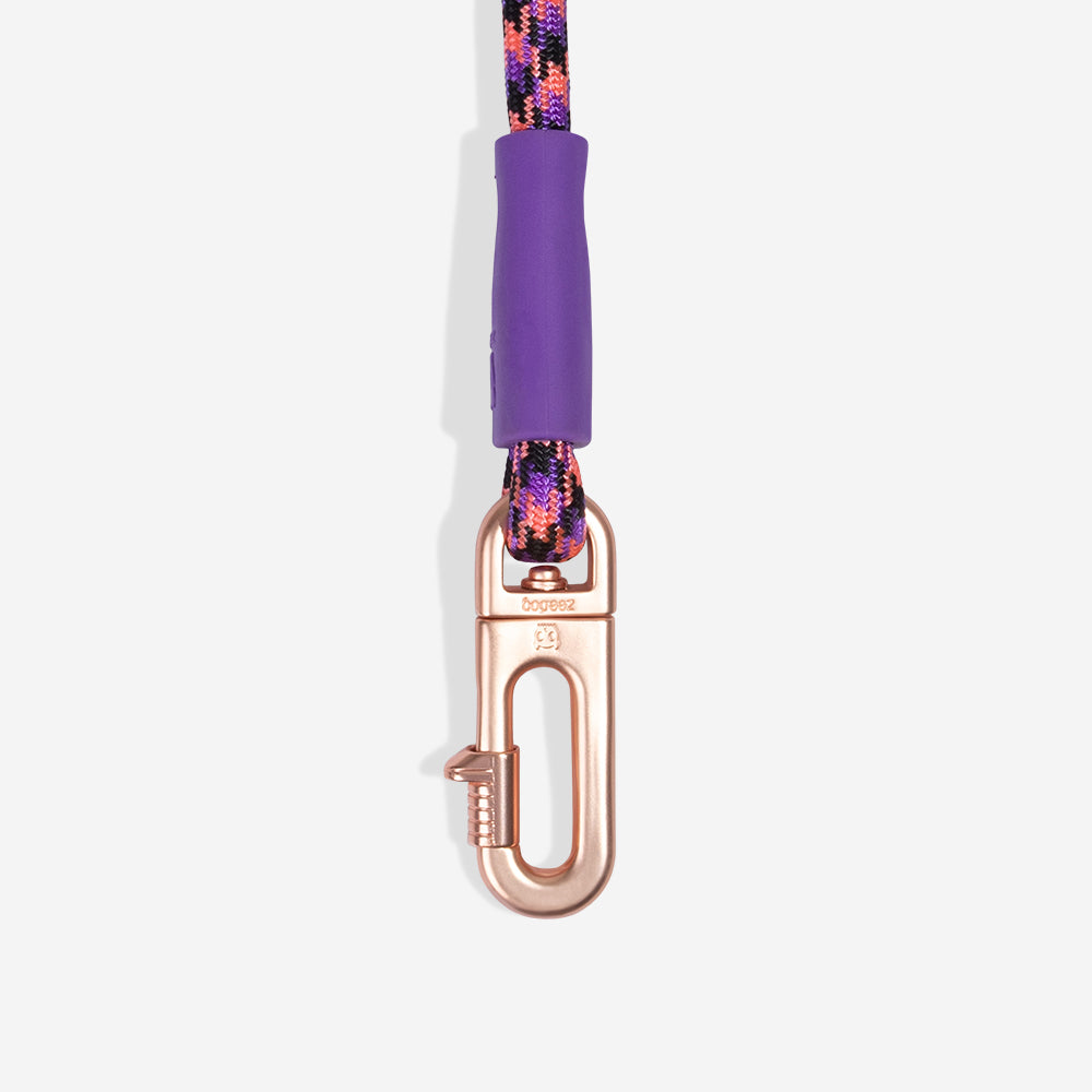 Reebok Court | Hands-Free Leash – Zee.Dog