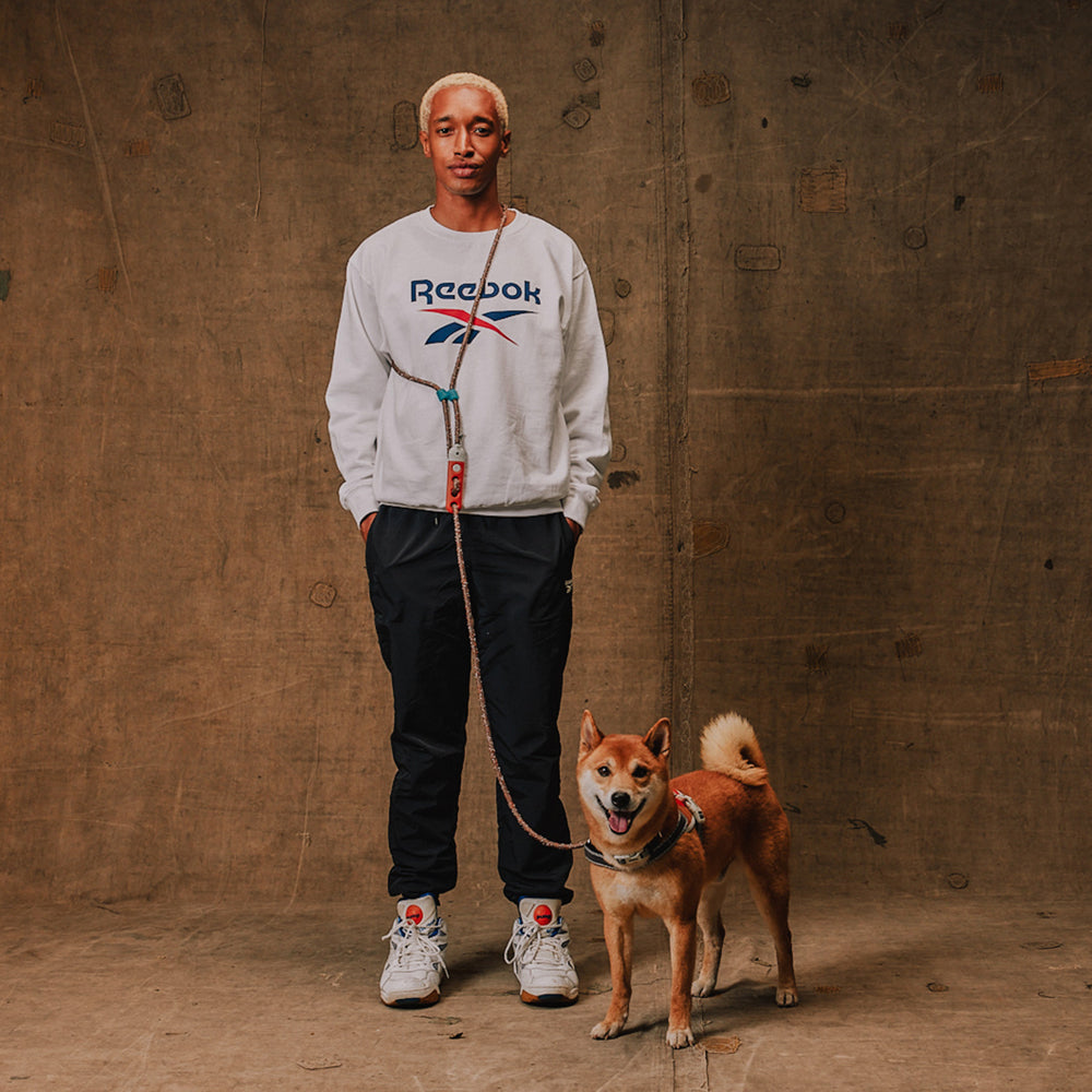 Reebok Suede | Hands-Free Leash – Zee.Dog
