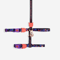 Reebok Court | Cat Harness + Leash Set