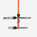 Reebok Suede | Cat Harness + Leash Set