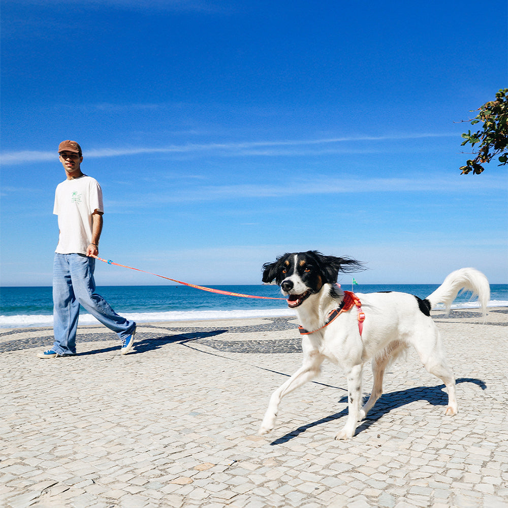 Reebok Aerobic | Long Leash v2