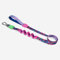 Reebok Aerobic | Ruff Leash