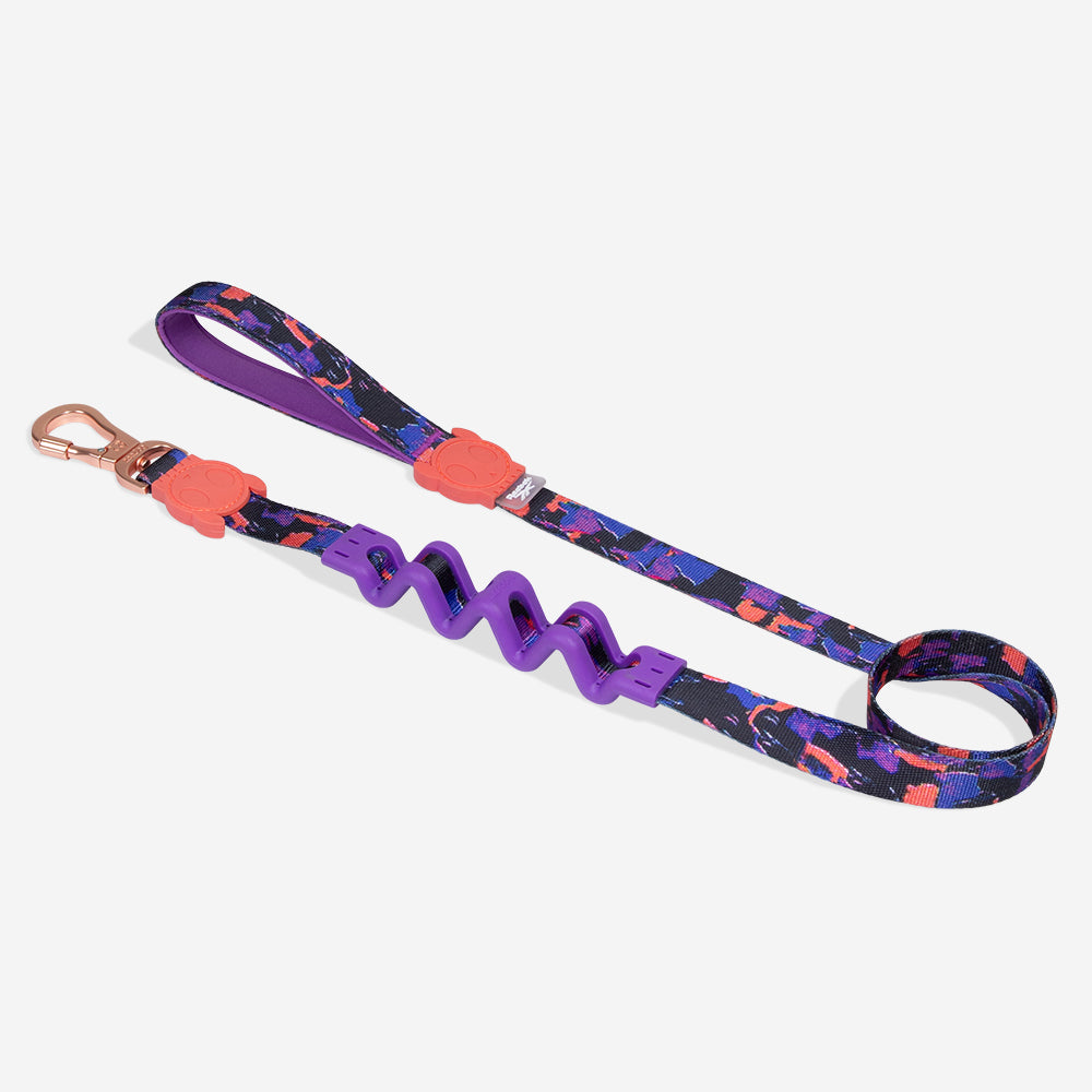 Reebok Court | Hands-Free Leash – Zee.Dog