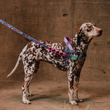 Reebok Aerobic | SofterWalk Harness