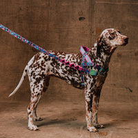 Reebok Aerobic | SofterWalk Harness