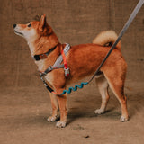 Reebok Suede | SofterWalk Harness