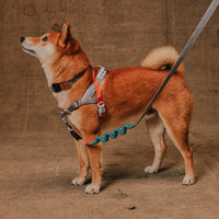 Reebok Suede | SofterWalk Harness