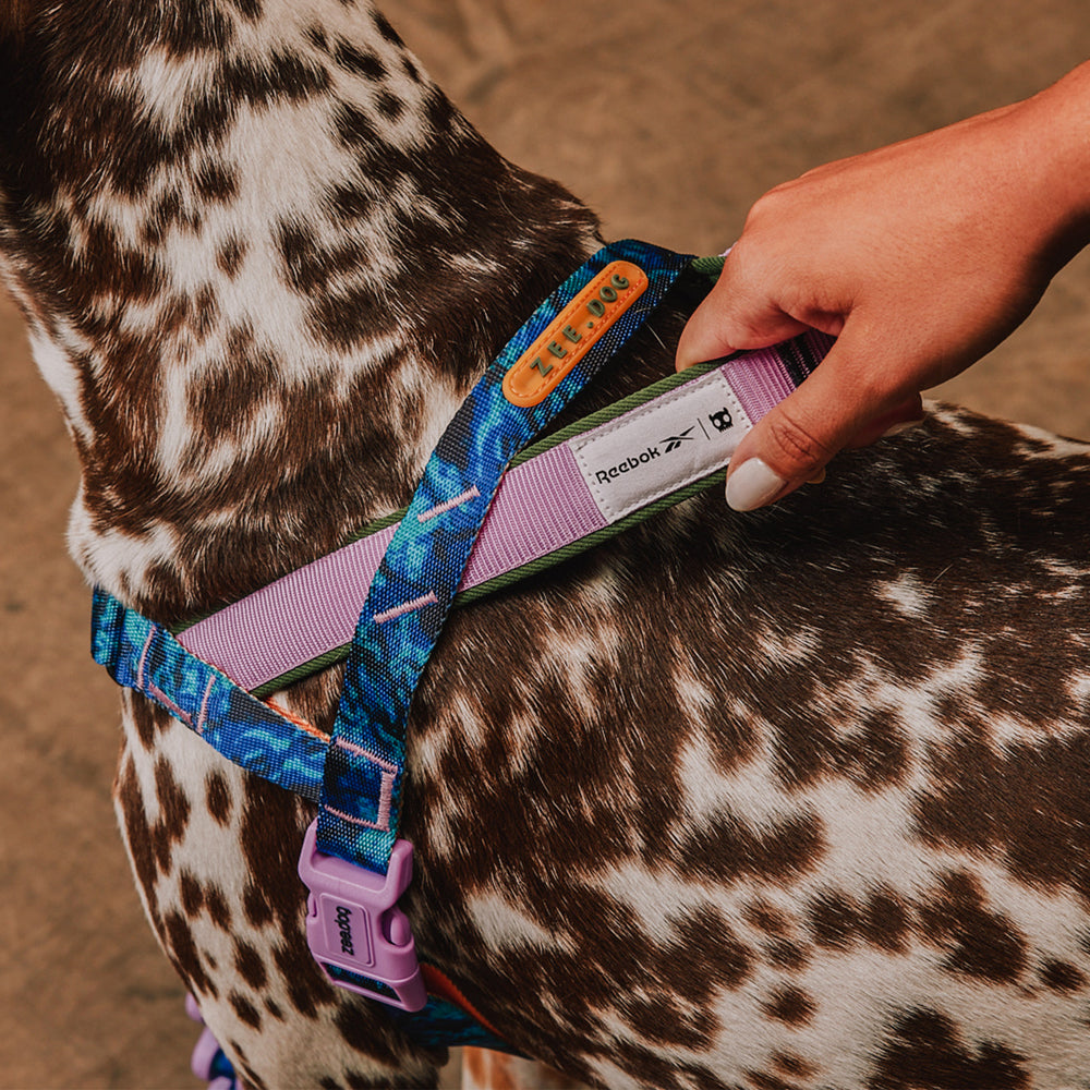 Reebok Trekk | SofterWalk Harness – Zee.Dog