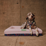 Reebok Aerobic | Zee.Bed