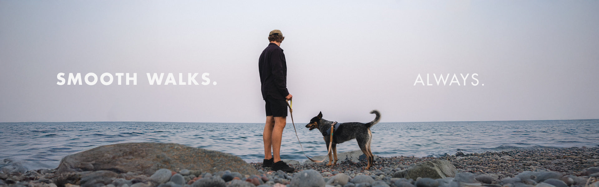 No Pull Dog Leash | Crimson | Airleash – Zee.Dog