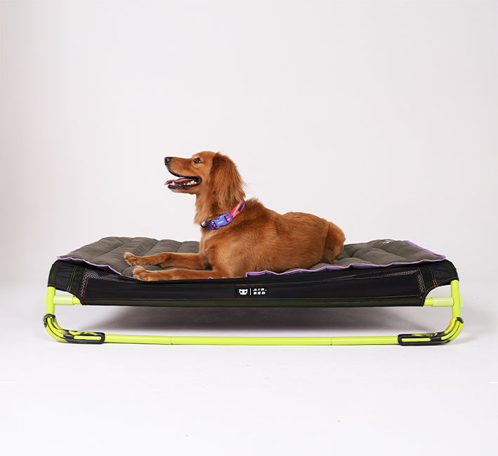 Air.Mat – Outdoor Pet Travel Mat with Soft Top & Waterproof Base