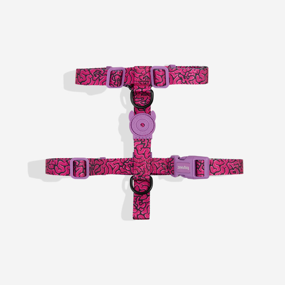 Brain | H Harness – Zee.Dog