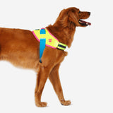 CMYK | FlyHarness