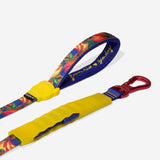 Samba | Airleash