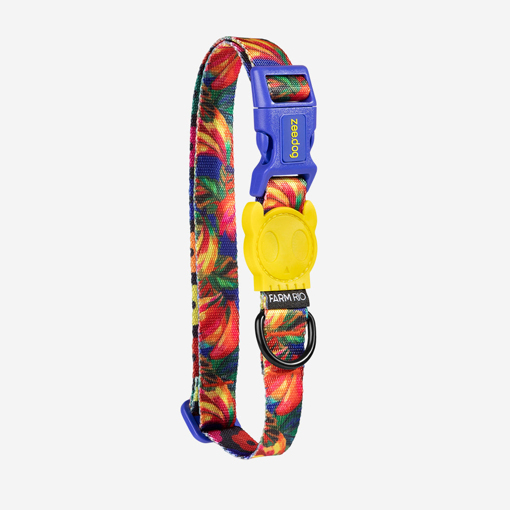 Samba | Collar