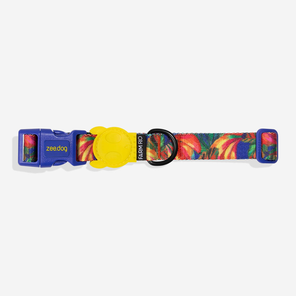Samba | Collar