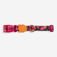Selva | Collar