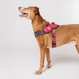 Selva | FlyHarness