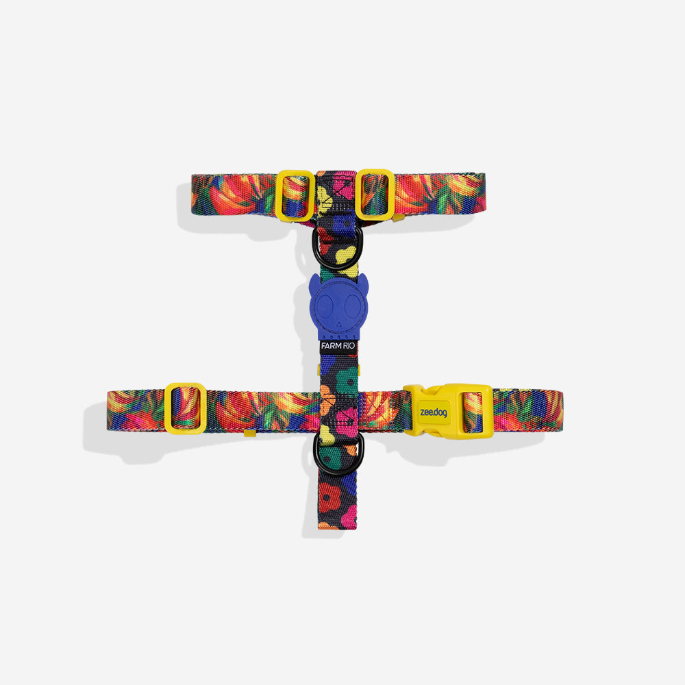 Samba | H Harness