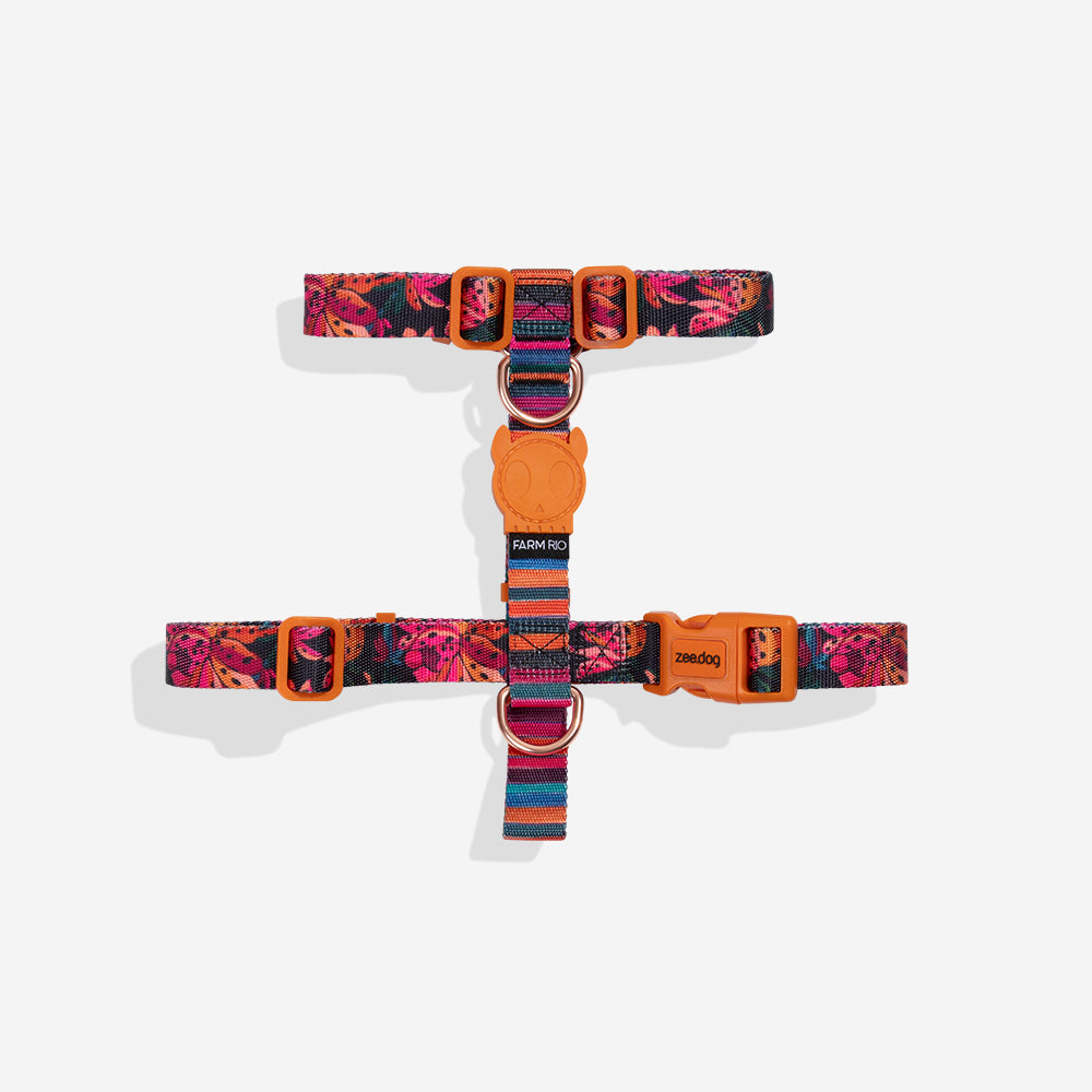 Selva | H Harness