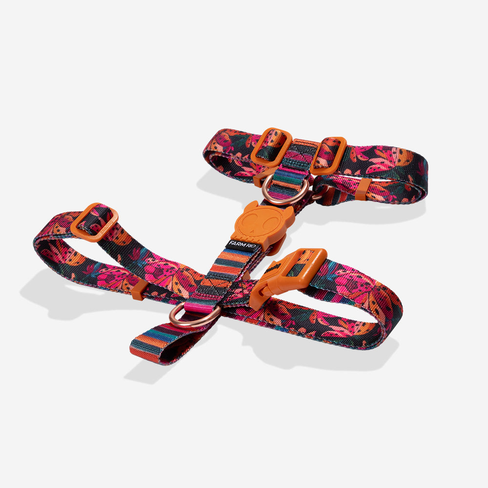 Selva | H Harness