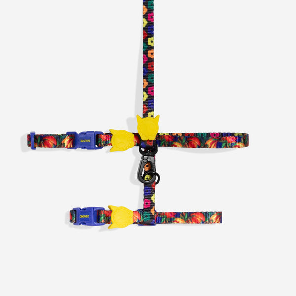FARM Rio X Zee.Dog Samba Cat Harness & Leash Set