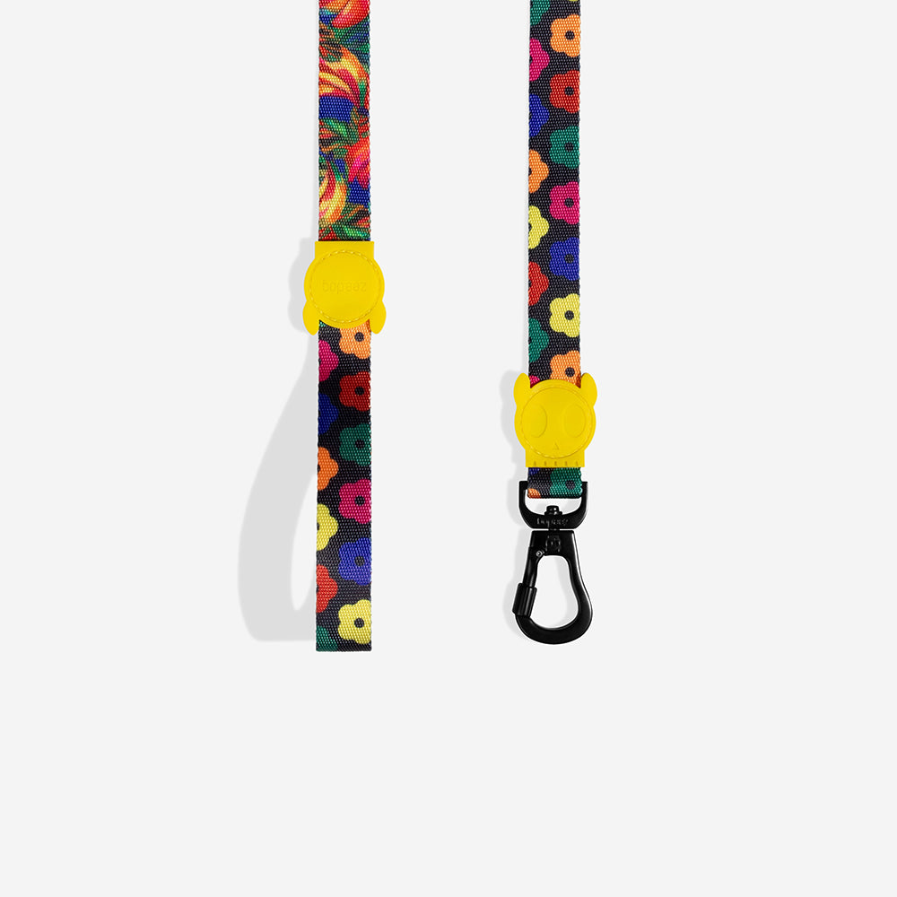 Samba | Leash