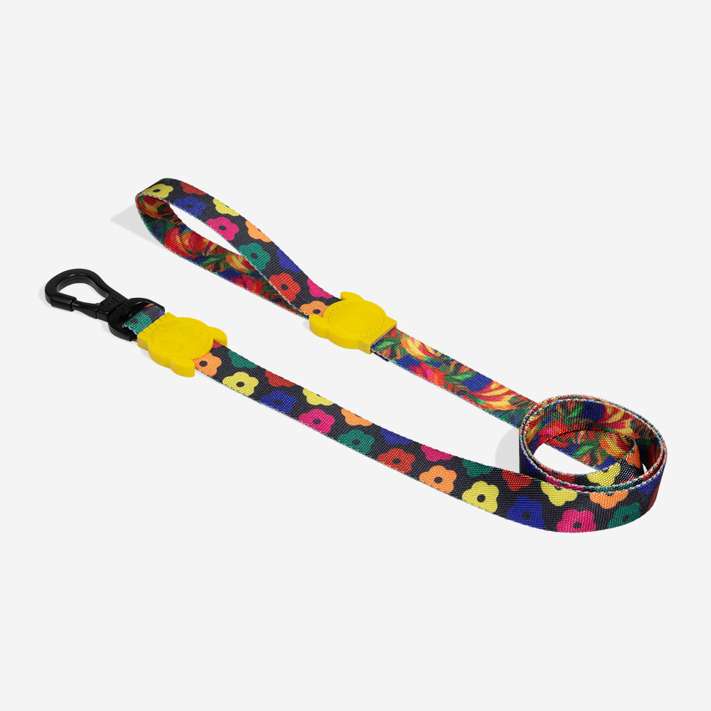 Samba | Leash