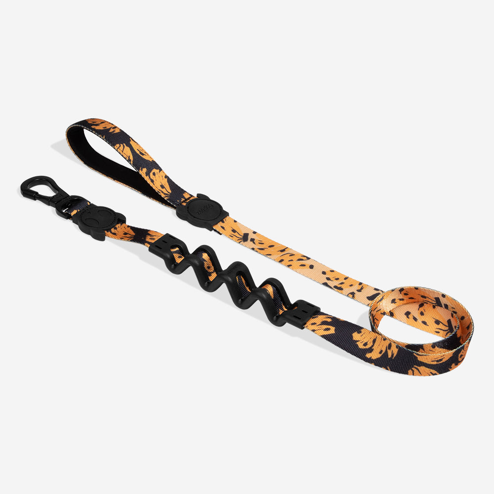 Bossa Banana | Ruff Leash 2.0