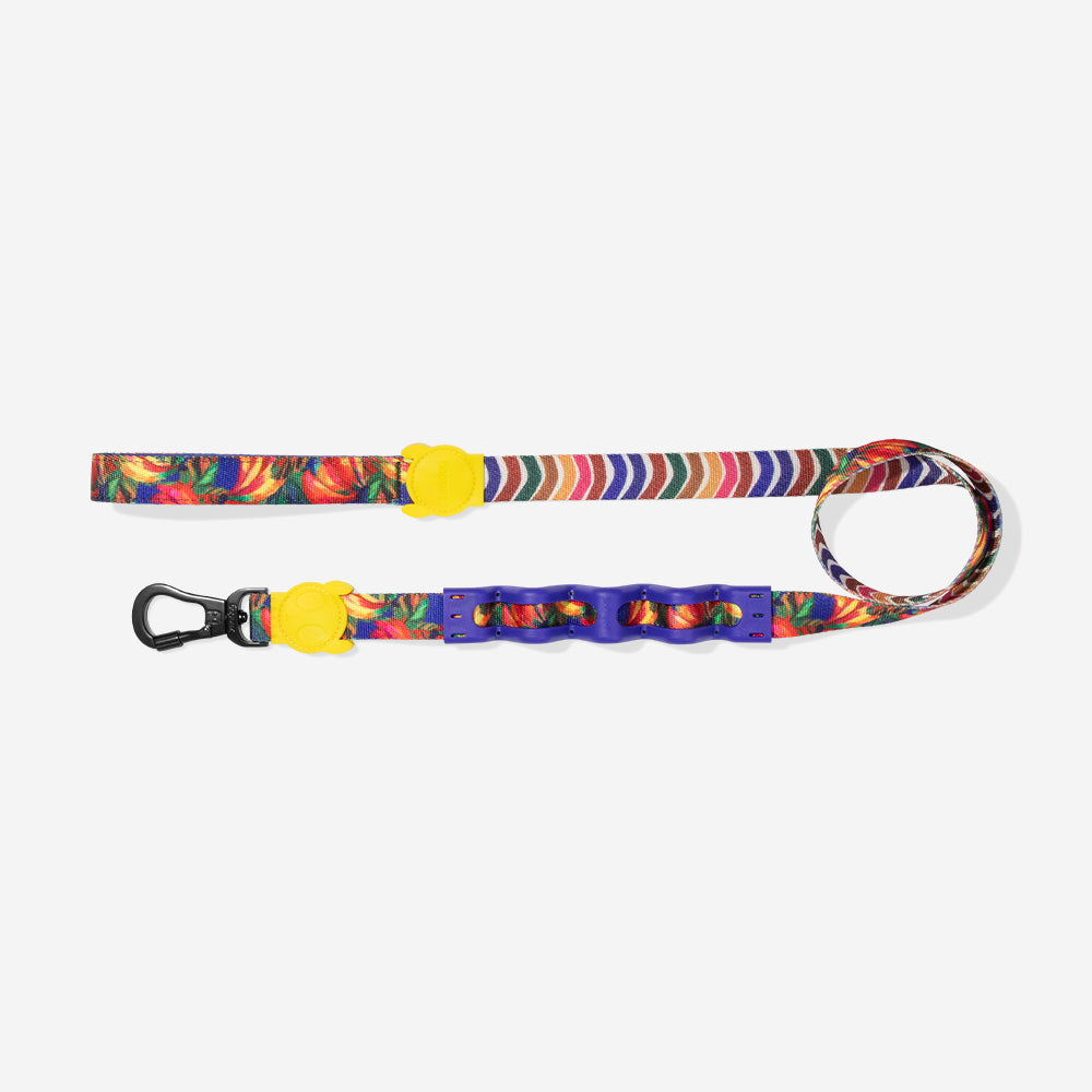 Samba | Ruff Leash 2.0
