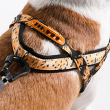 Bossa Banana | SofterWalk Harness