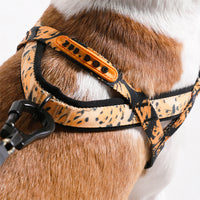 Bossa Banana | SofterWalk Harness