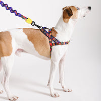 Samba | SofterWalk Harness