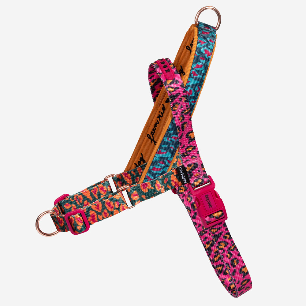 Selva | SofterWalk Harness